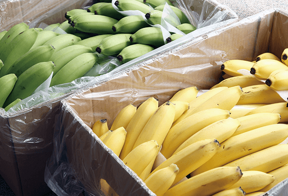 Fresh Food Business