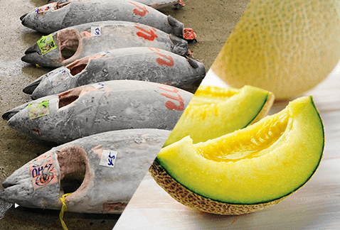 Food Export Business