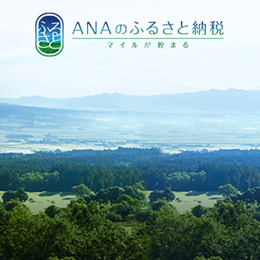 地域創生事業